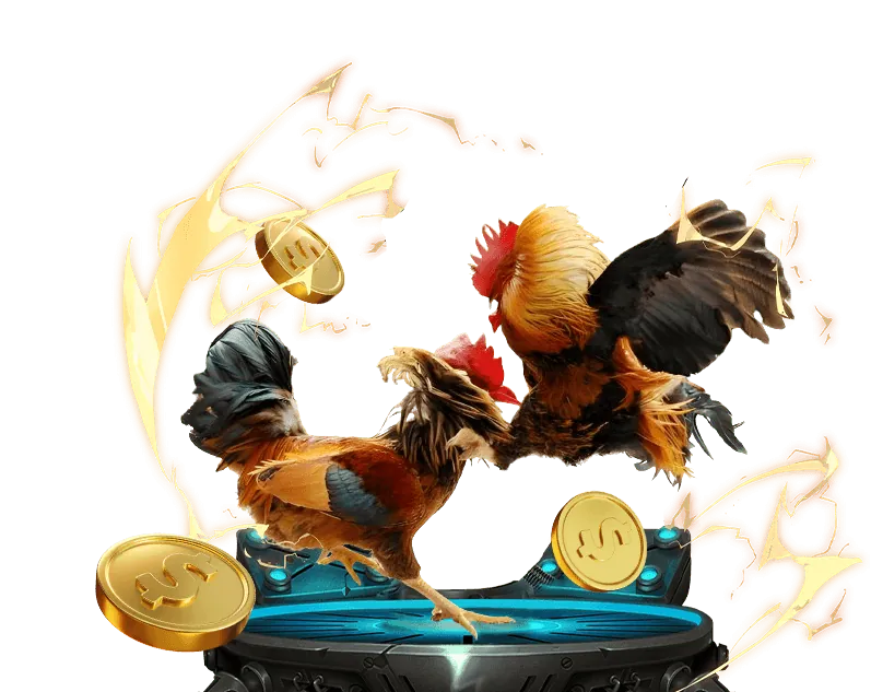 Hướng dẫn đăng ký tài khoản đá gà c1 trực tiếp